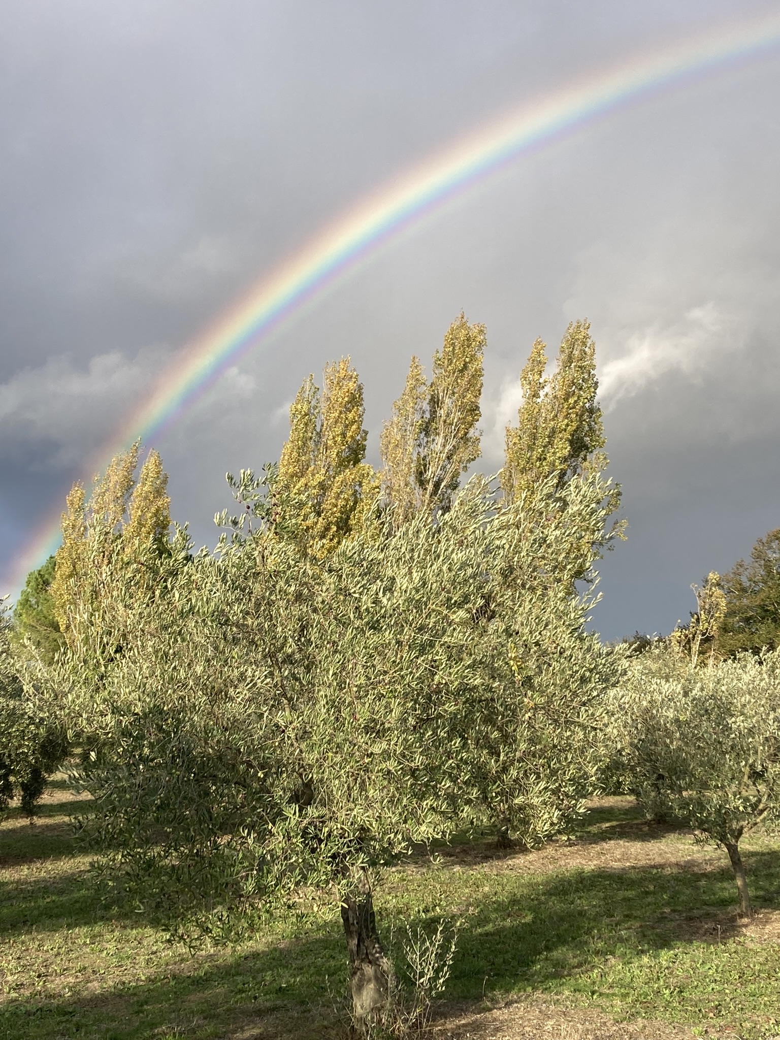 Pilier Terres Ardentes